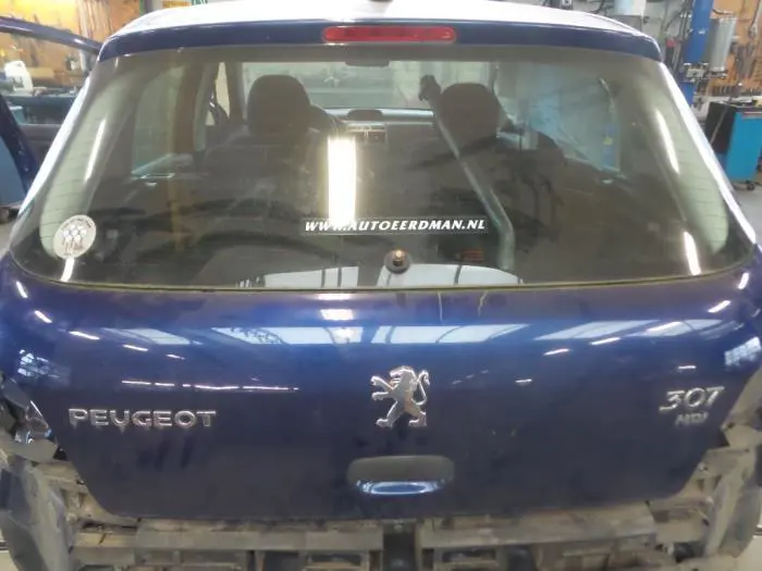 Tylna klapa Peugeot 307