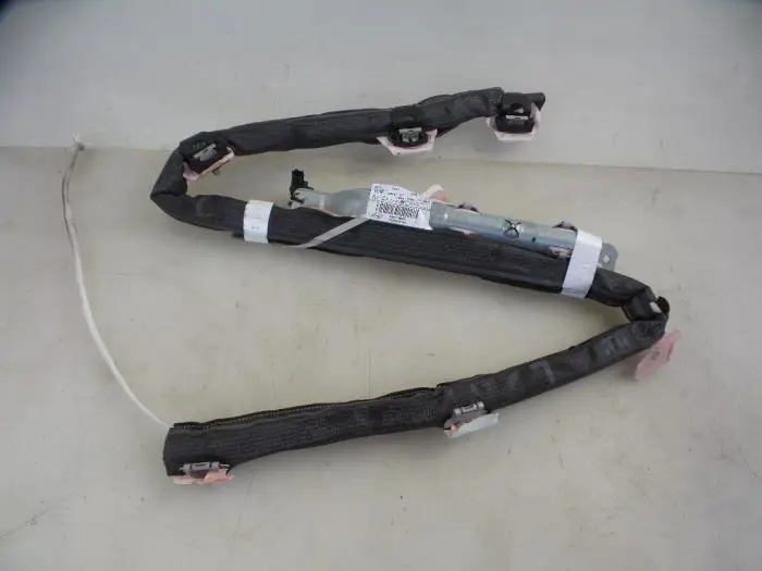 Roof curtain airbag, left Ford Fiesta