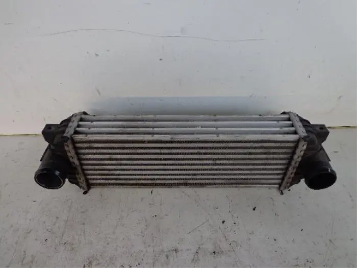 Intercooler Ford Transit Connect
